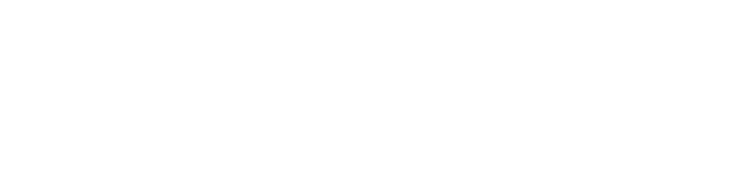 Flety